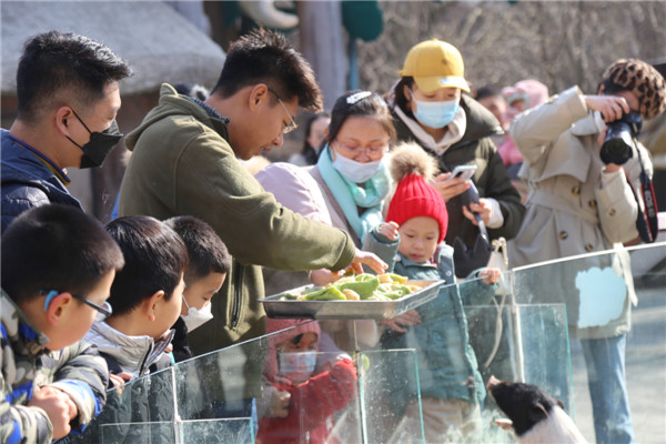 青島森林野生動物世界萌寵動物陪你留青就地過年