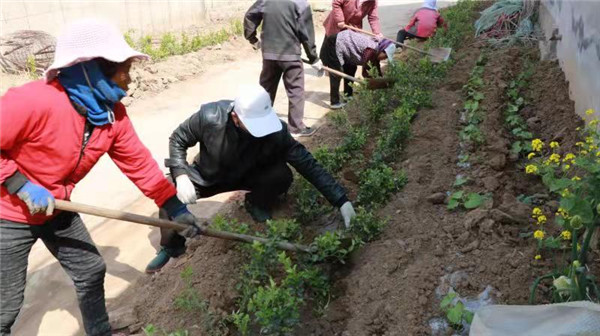 山東安丘經(jīng)濟(jì)開發(fā)區(qū)四項(xiàng)措施全力加快推進(jìn)省食安城復(fù)審和國家衛(wèi)生城創(chuàng)建工作