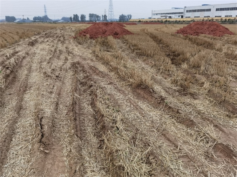 諸城市辛興鎮(zhèn)發(fā)展工業(yè)強行占耕地建廠，導致七八戶農(nóng)民無地可種