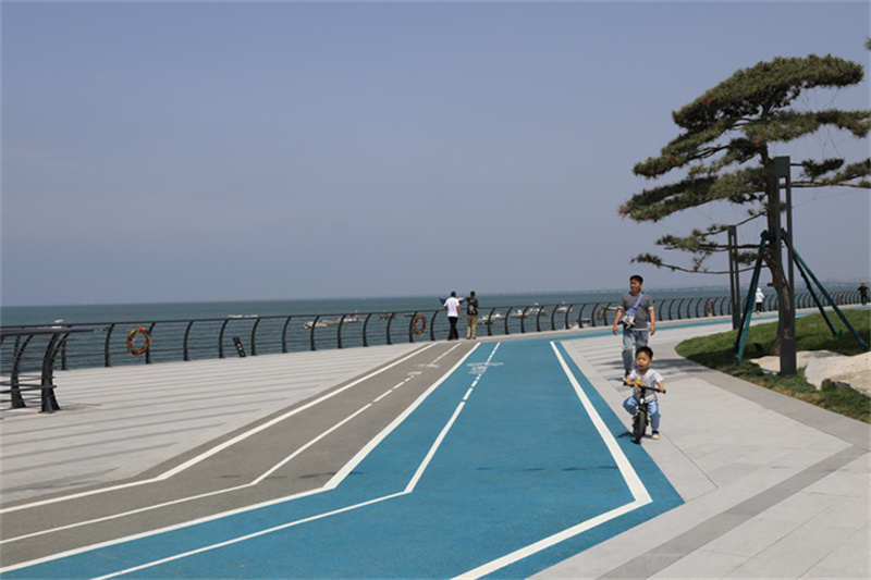 綠”動(dòng)海岸線，“道”處是風(fēng)景走，一起打卡市北濱海綠道看后海新“潮”