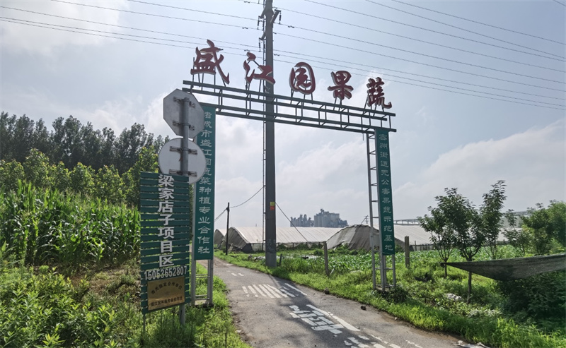 昌樂人在諸城市“密州街道”投資農(nóng)業(yè)疑被“套路” 大棚被淹揭出“神秘園區(qū)”