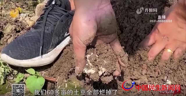 山東高速路橋集團(tuán)真霸道 施工“需要”致數(shù)百畝農(nóng)田被淹