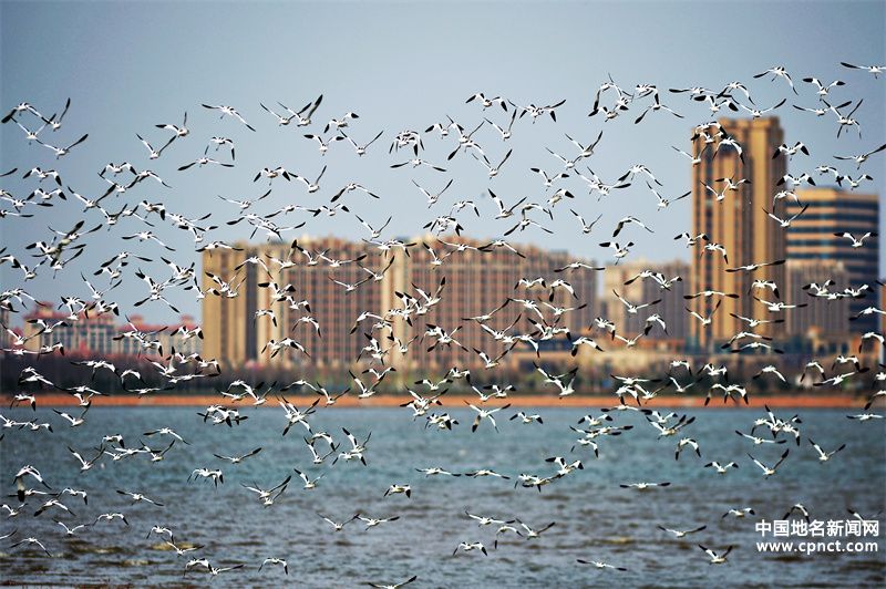 再添“國字號(hào)招牌”！青島市城陽區(qū)獲評(píng)生態(tài)文明建設(shè)示范區(qū)