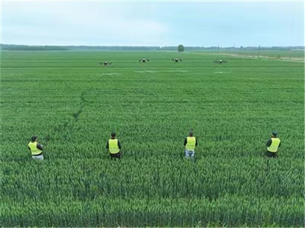 山東即墨區(qū)開(kāi)展小麥“一噴三防”作業(yè) 確保夏糧豐收
