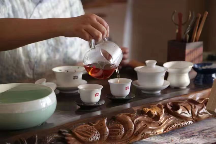 大益茶傾情助力青島國(guó)際帆船周·青島國(guó)際海洋節(jié)